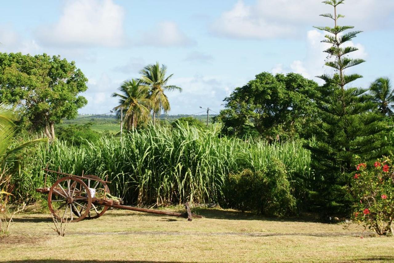 Au Jardin De Beausejour Hotel Capesterre ภายนอก รูปภาพ